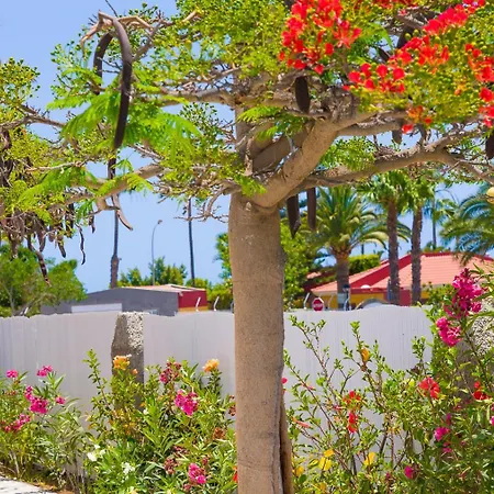 リゾート Almenas マスパロマス