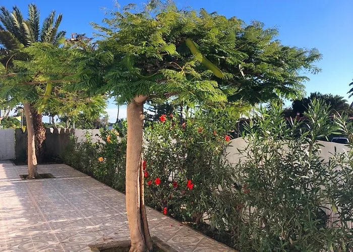 拉斯阿尔蒙纳斯简易别墅酒店 度假村