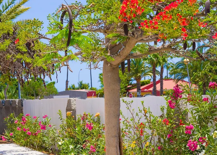 Üdülőközpont Almenas Maspalomas
