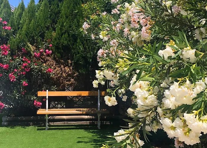 度假村 拉斯阿尔蒙纳斯简易别墅酒店 马斯帕洛马斯