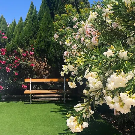 אתר נופש Almenas מספאלומס